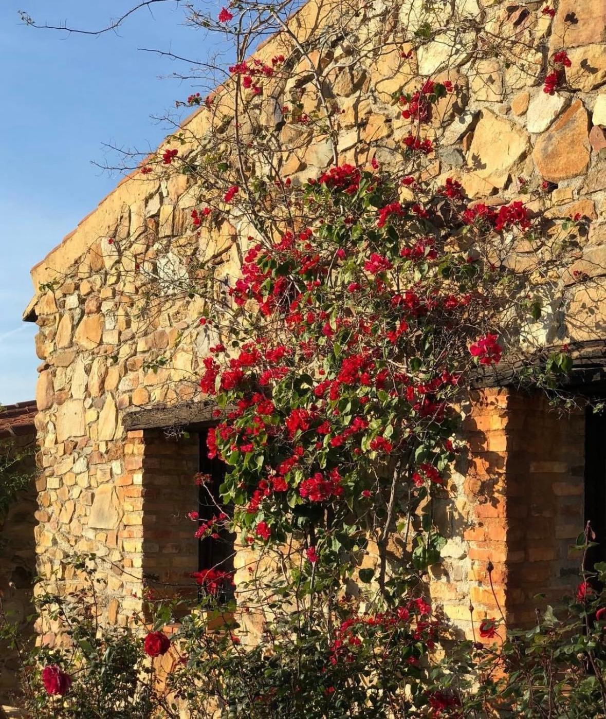 Finca Los Caleros Juan Gallegos المظهر الخارجي الصورة