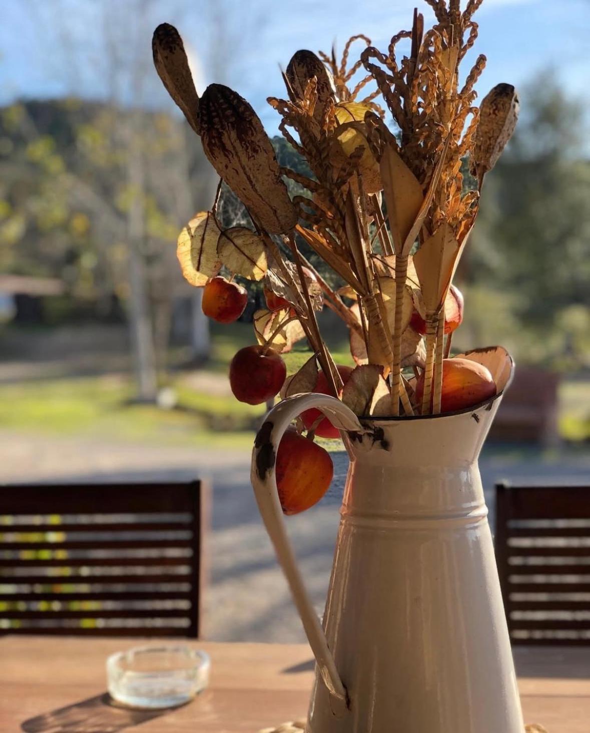 Finca Los Caleros Juan Gallegos المظهر الخارجي الصورة