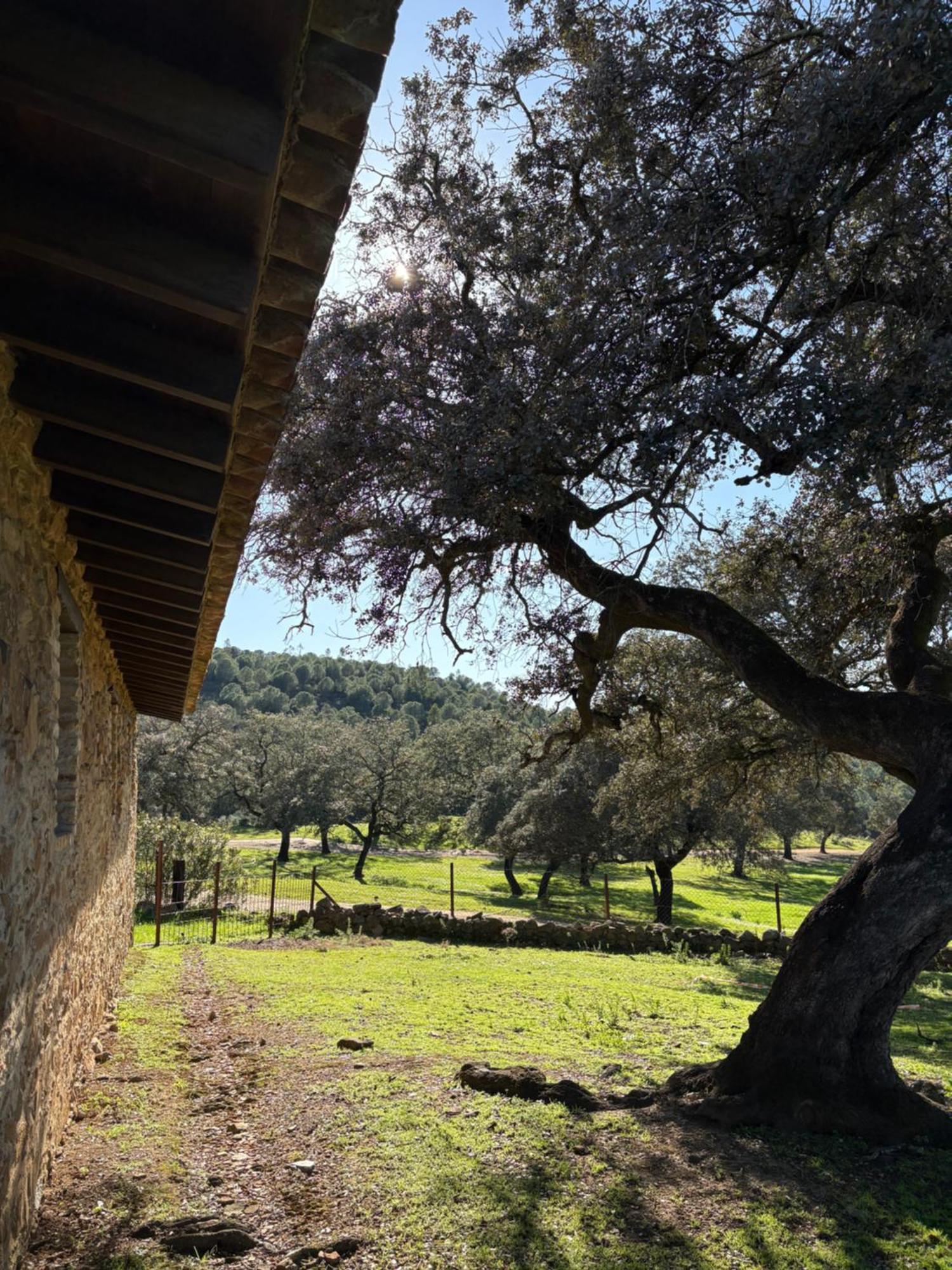 Finca Los Caleros Juan Gallegos المظهر الخارجي الصورة