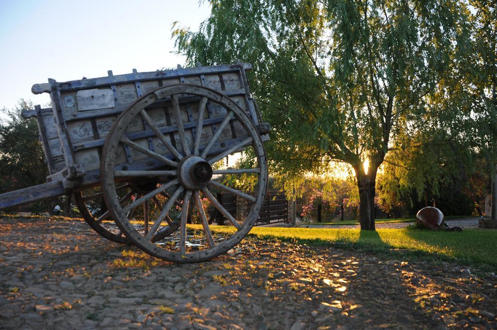Finca Los Caleros Juan Gallegos المظهر الخارجي الصورة
